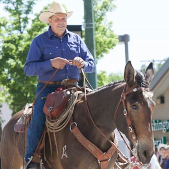 Meet your Posher, Saddle - Picture 1 of 1